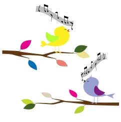 Birds Singing