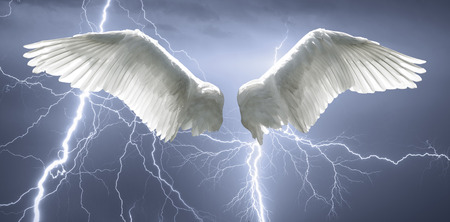 42825924 - angel wings with background made of sky and lightning.