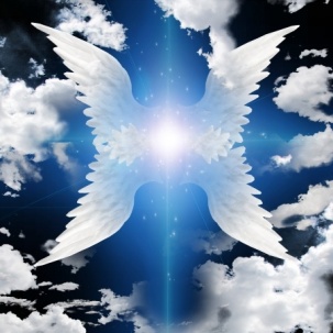 22147344 - angel winged